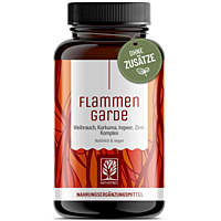 Ohnivá stráž - komplex kurkumy, kadidla, zázvoru, skořice a černého pepře, 90 kapslí